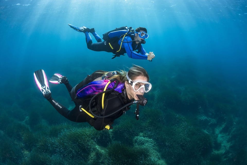 Big Blue Diving Mallorca (Palmanova) - Centro de Buceo PADI 5 Estrellas