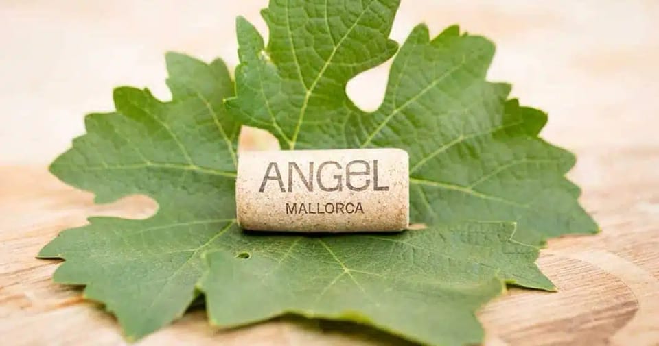 Bodegas Ángel (Santa Maria del Camí - 2006)