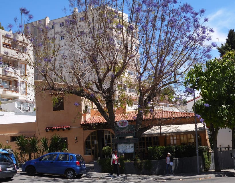 Carnisseria Can Toni des Pla (Porreres - 1965)