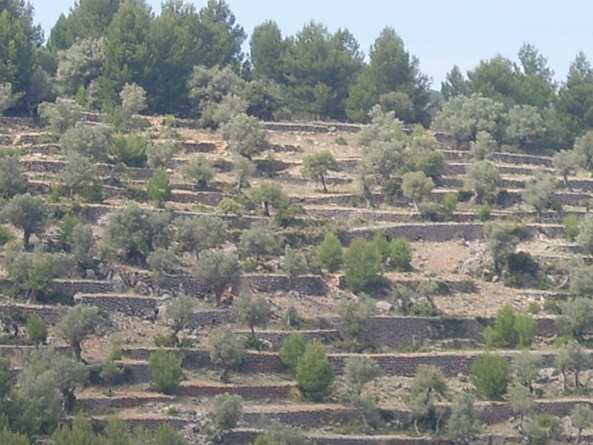 Castell d'Alaró - Fortaleza Histórica & Hospedería de Montaña