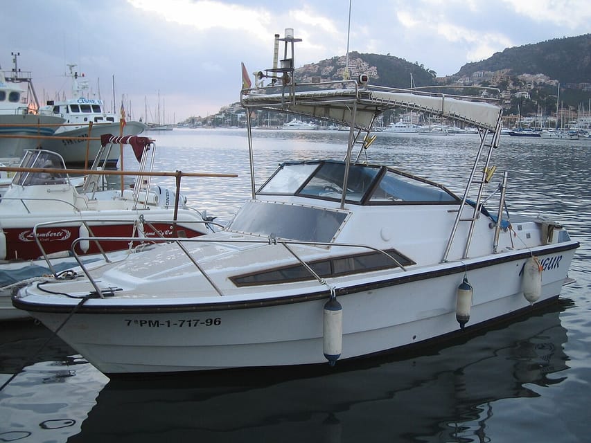 Club de Vela Puerto de Andratx Marina & Escuela de Vela