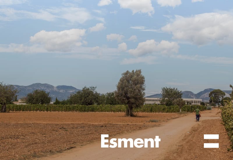 Fundació Amadip Esment (Esment) - Inclusió Social & Laboral