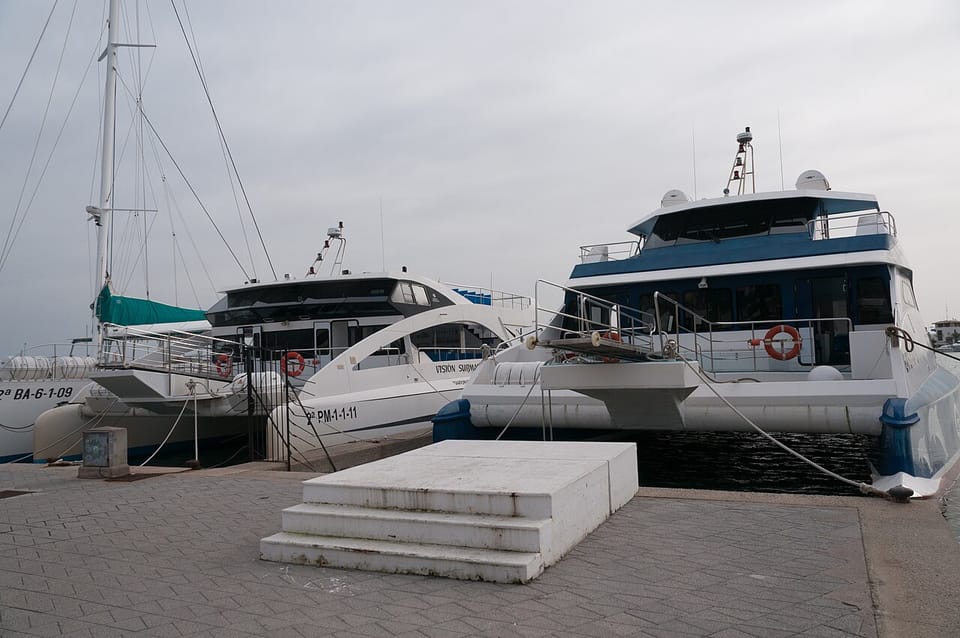 Zoea Mallorca Buceo & Charters (Santa Ponsa)